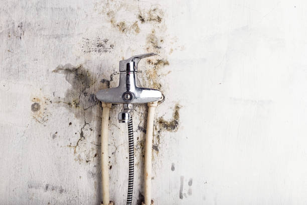 Mold Testing and Removal in Casselton, ND