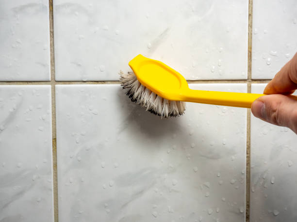 Best Home Mold Removal  in Casselton, ND