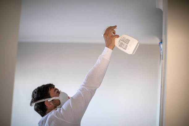 Best Fast Mold Removal  in Casselton, ND
