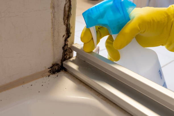 Best Mold Cleaning Services  in Casselton, ND